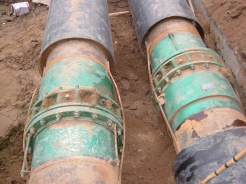 火狐网址：消毒液行业区域市场及未来趋势预测分析2026